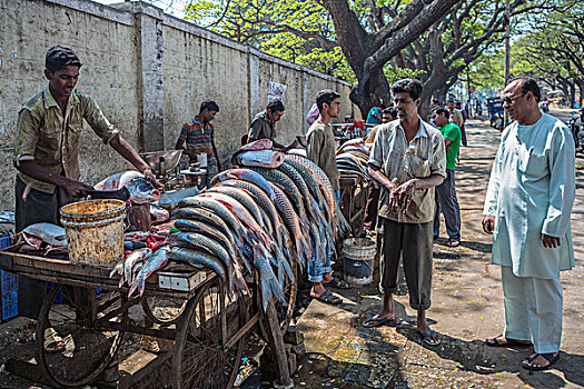 印度,迈索尔,市场,鱼贩,街上