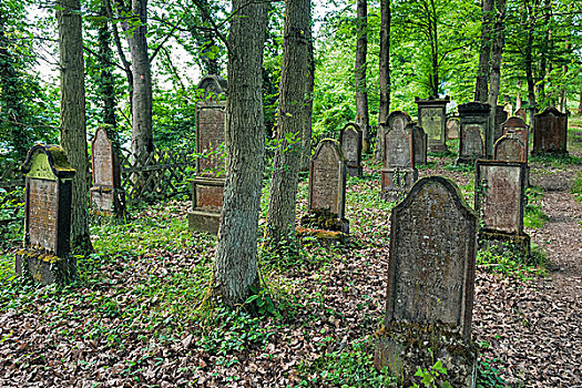 犹太,墓地,莱茵兰普法尔茨州,德国,欧洲