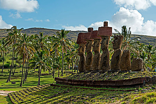 复活节岛石像,棕榈树,靠近,阿纳凯,拉帕努伊,复活节岛,智利,南美