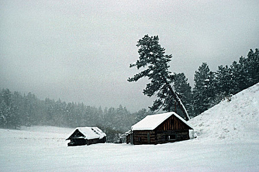 家园,雪中,风暴