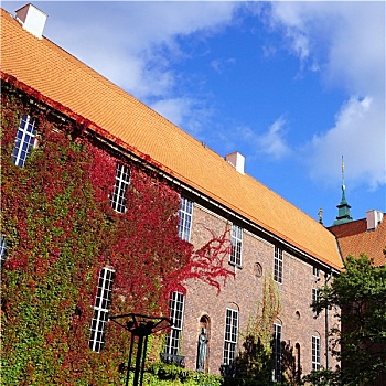 市政厅,建筑,绿色,墙壁,斯德哥尔摩