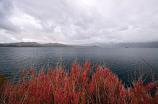 泸沽湖