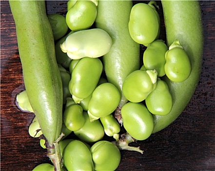 蚕豆图片_蚕豆图片大全_蚕豆图片素材