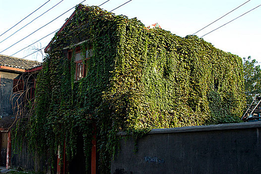 四川窄巷子即景