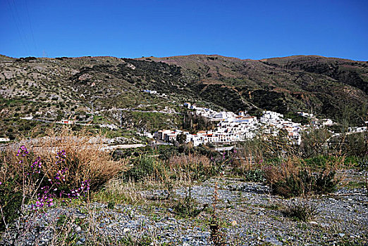 白人,乡村,阿普哈拉斯山谷,西班牙