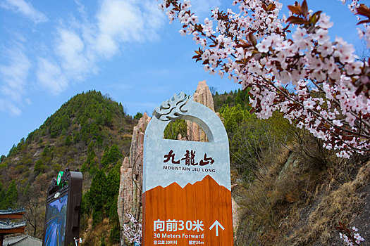 九龙山春日盛景