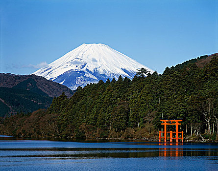 富士山,靠近,箱根,神奈川,日本