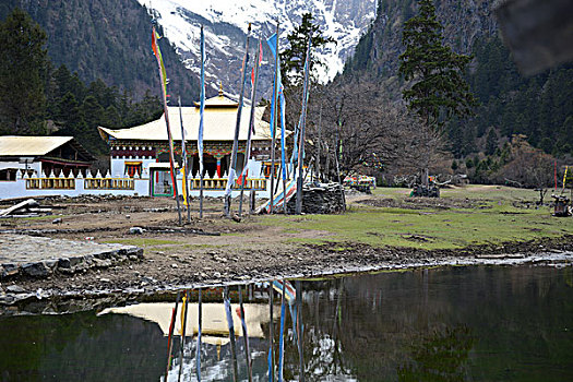 雨崩村春天雪山溪水