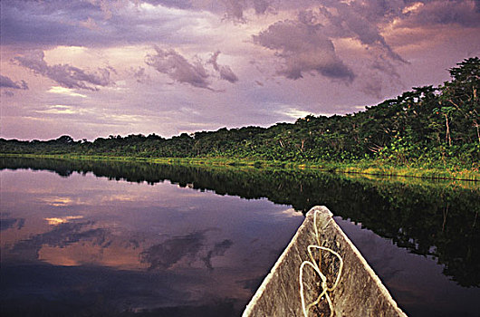 划船,独木舟,湖,中心,国家公园,亚马逊盆地,厄瓜多尔
