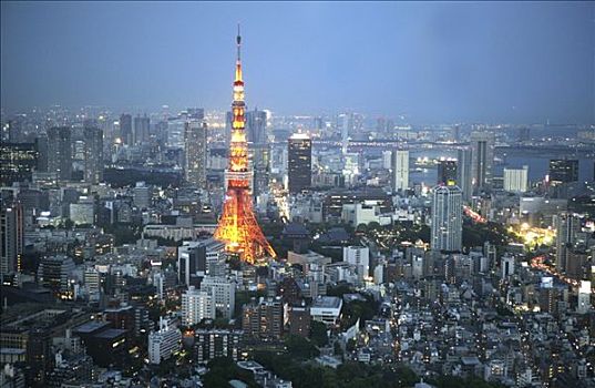 日本,东京,眺望台,山,森大厦,了望塔,东京塔,天际线