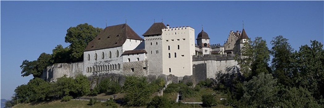 城堡,阿尔皋,瑞士