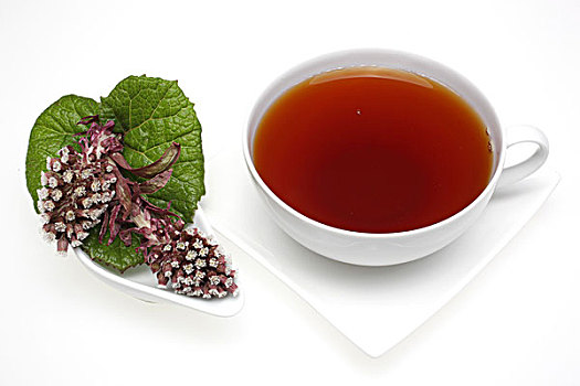 茶,草药,蜂斗叶属植物,蜂斗菜