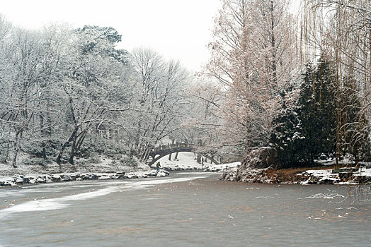 颐和园雪色