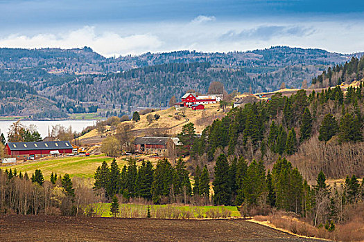 乡村,挪威,风景,红色,木屋,山