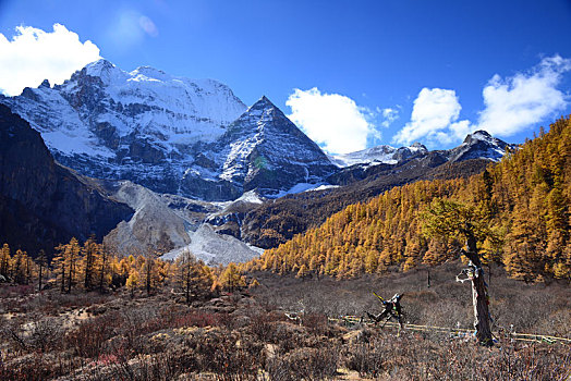 四川,亚丁,稻城,稻城亚丁,景区,甘孜州,藏族,自然,山水,雪山,风光,蓝天,天空,森林