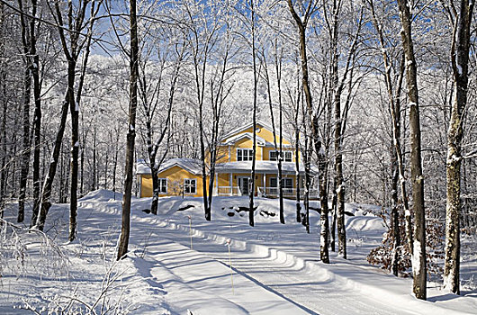 私家车道,房子,积雪,魁北克,加拿大