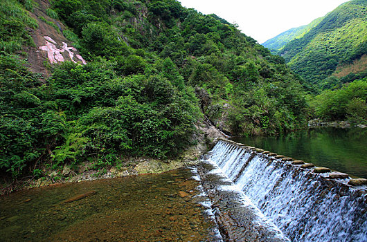 小溪,水,倒影