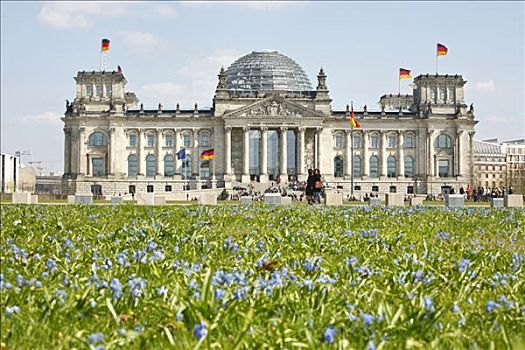 花,德国国会大厦,议会,柏林,德国,欧洲