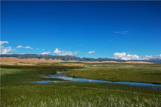 美丽的青海湖草原湿地