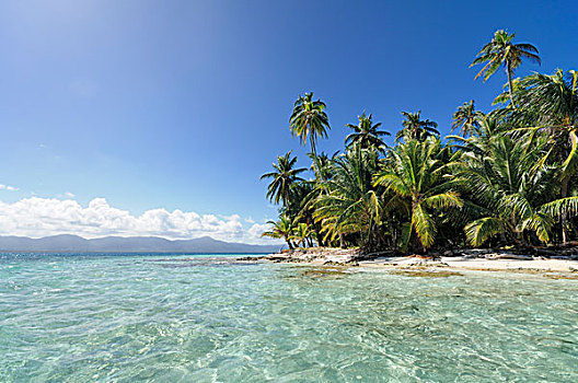 热带海岛,海滩,棕榈树,圣布拉斯湾,岛屿,巴拿马,北美