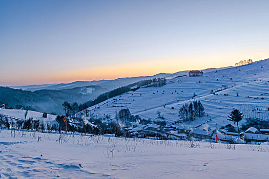 雪地,树林,村庄,雪村