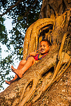男孩,坐,巨大,古树,日落,市区,乌波卢岛,萨摩亚群岛,南太平洋