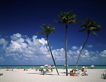 迈阿密海滩