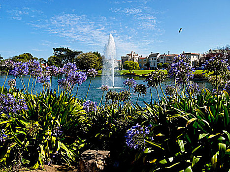 喷泉,艺术宫,旧金山,加利福尼亚,美国