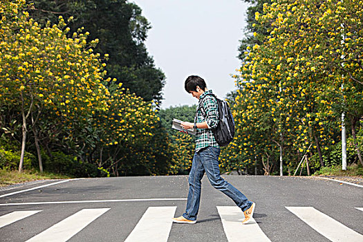一个年轻男大学生过马路