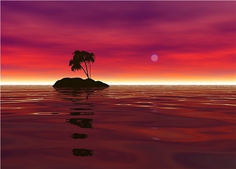 浪漫,荒岛,棕榈树,剪影