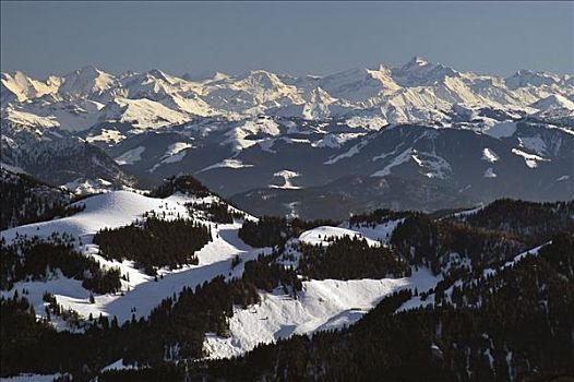 陶安,欧洲阿尔卑斯山