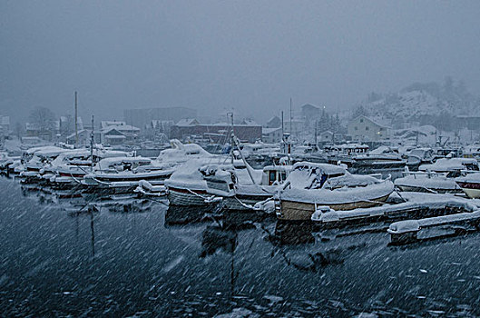 雪,落下,港口