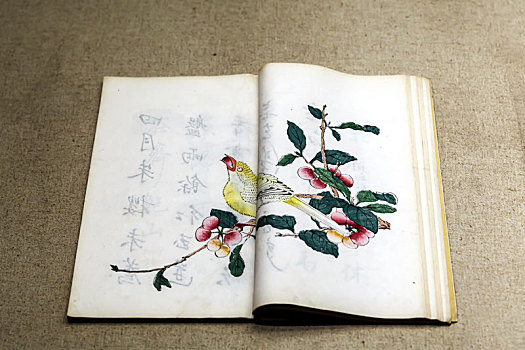 中国安徽博物院藏书清代十竹斋画谱