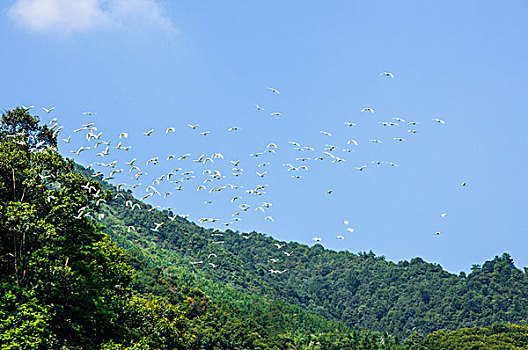 桂林山岭风光