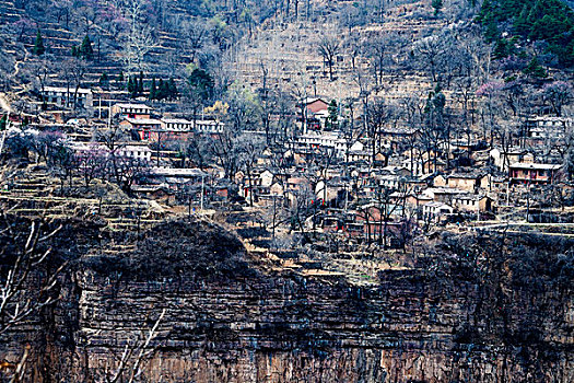 太行山,山村,悬崖,杏花,春天,民居