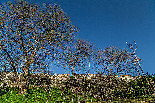 赣州八镜公园风景