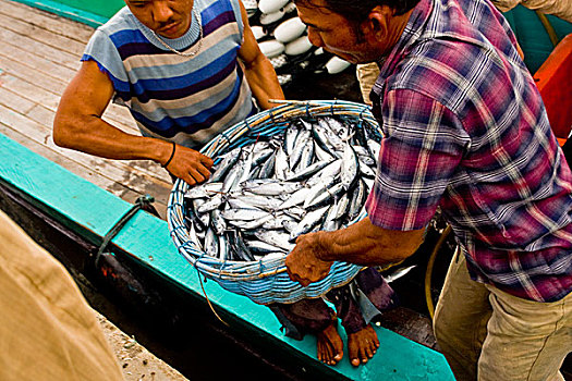 渔民,渔港,印度尼西亚,四月,2008年