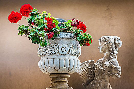 特写,花,种植器皿,雕塑,陶尔米纳,西西里,意大利