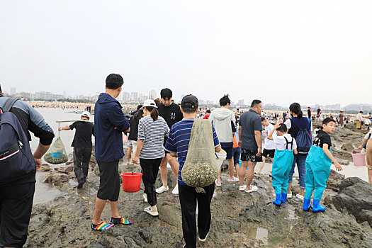 山东省日照市,太壮观,上万游客太公岛赶海收获满满