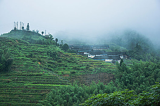 雨雾山景