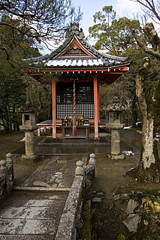 日本,京都,清水寺,冬天,小,庙宇,石桥