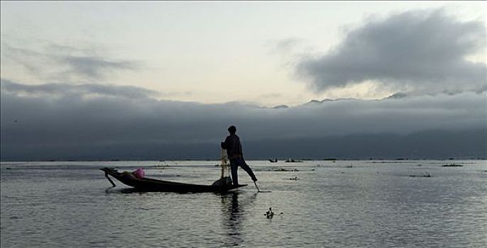 缅甸,划船,船,一个,腿,捕鱼,茵莱湖,东南亚