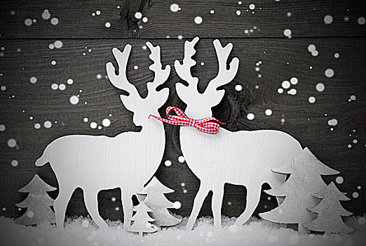 灰色,圣诞装饰,驯鹿,情侣,相爱,雪花