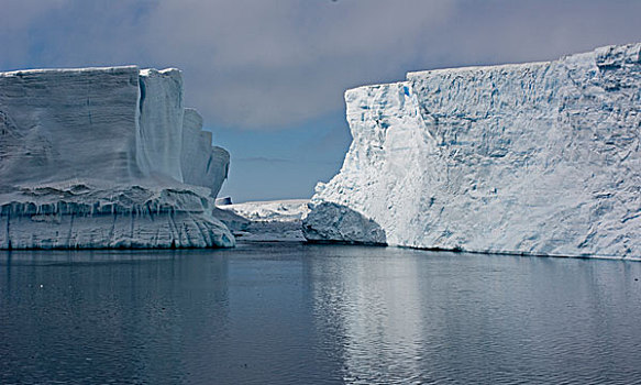 冰山,面对,相互,水,南极