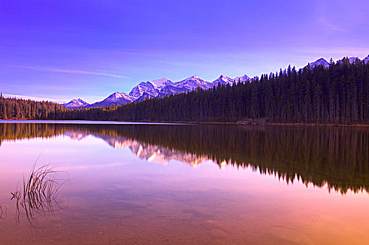 倒影,赫伯特湖,班芙国家公园,艾伯塔省,加拿大