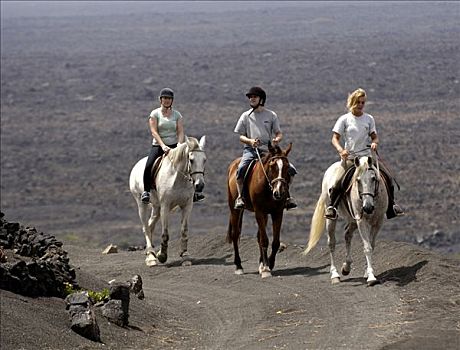 骑马,产酒区,兰索罗特岛,加纳利群岛
