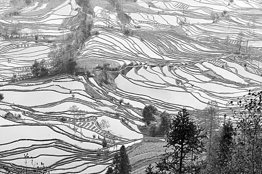 哀牢山哈尼梯田风光