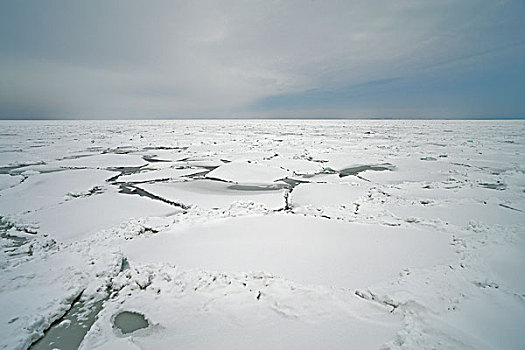 冰,湾,波罗的海,靠近,梅克伦堡前波莫瑞州,德国,欧洲