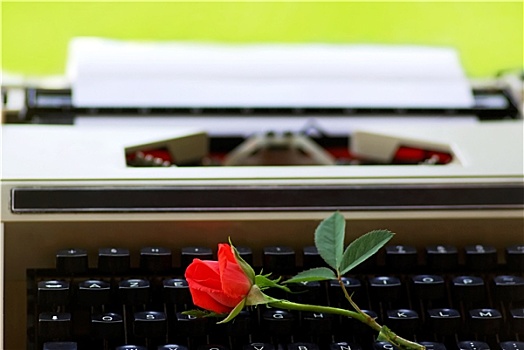 红玫瑰,键盘,老,打字,机器