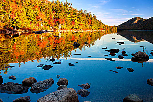 早,秋天,早晨,水塘,一个,相似,泡泡,阿卡迪亚国家公园,缅因,美国